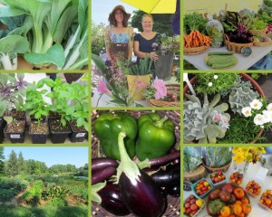 Produce grown by Earth's Mirth