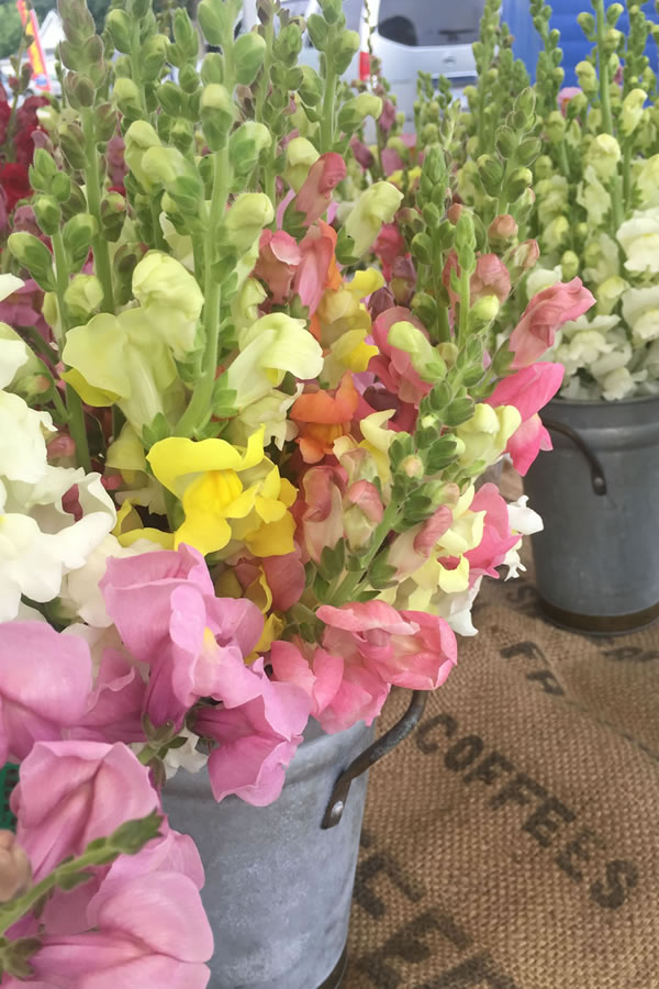 A picture of flowers in a bucket.